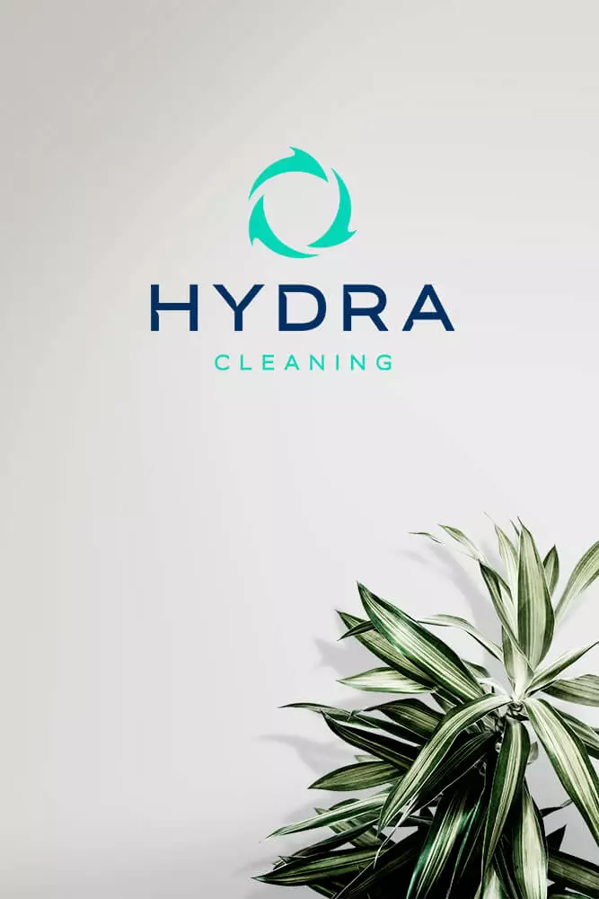 Hydra_Cleaning_O_Nama_img_02